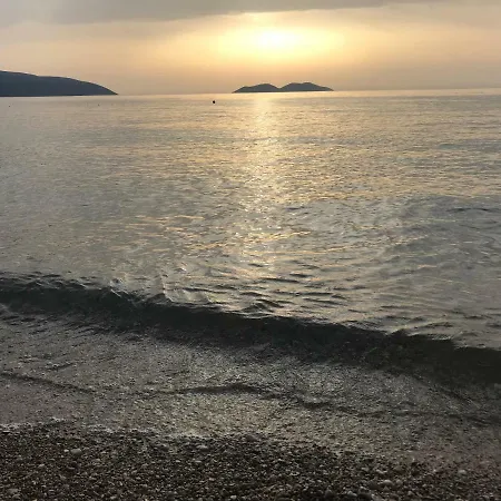 David 3* Vlore